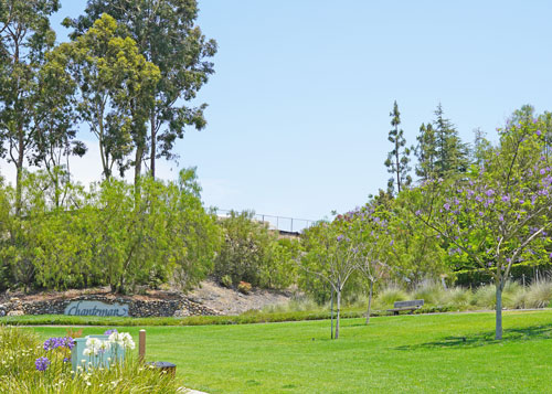 Community Photo